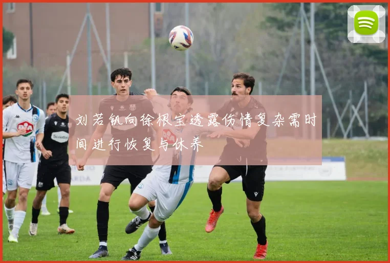 刘若钒向徐根宝透露伤情复杂需时间进行恢复与休养