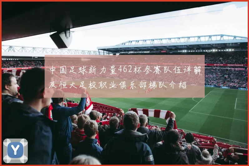 中国足球新力量462杯参赛队伍详解及恒大足校职业俱乐部梯队介绍