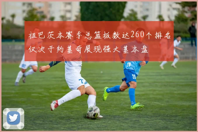 祖巴茨本赛季总篮板数达260个排名仅次于约基奇展现强大基本盘