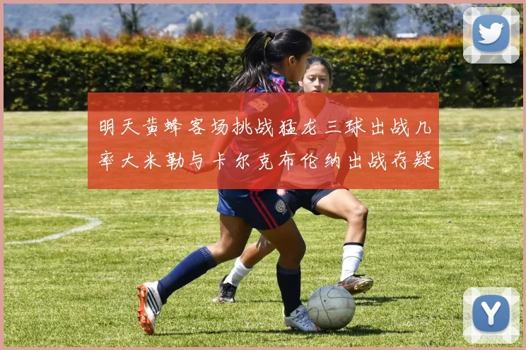 明天黄蜂客场挑战猛龙三球出战几率大米勒与卡尔克布伦纳出战存疑