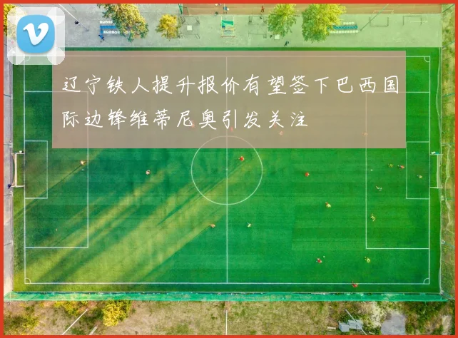 辽宁铁人提升报价有望签下巴西国际边锋维蒂尼奥引发关注